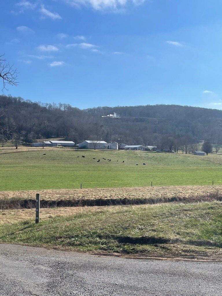 171B8685-F114-493E-9164-F1525C7E4FE5_1_105_c