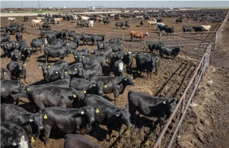 9F1BB39F-7FA9-426F-A6F4-66DDDC13E23D