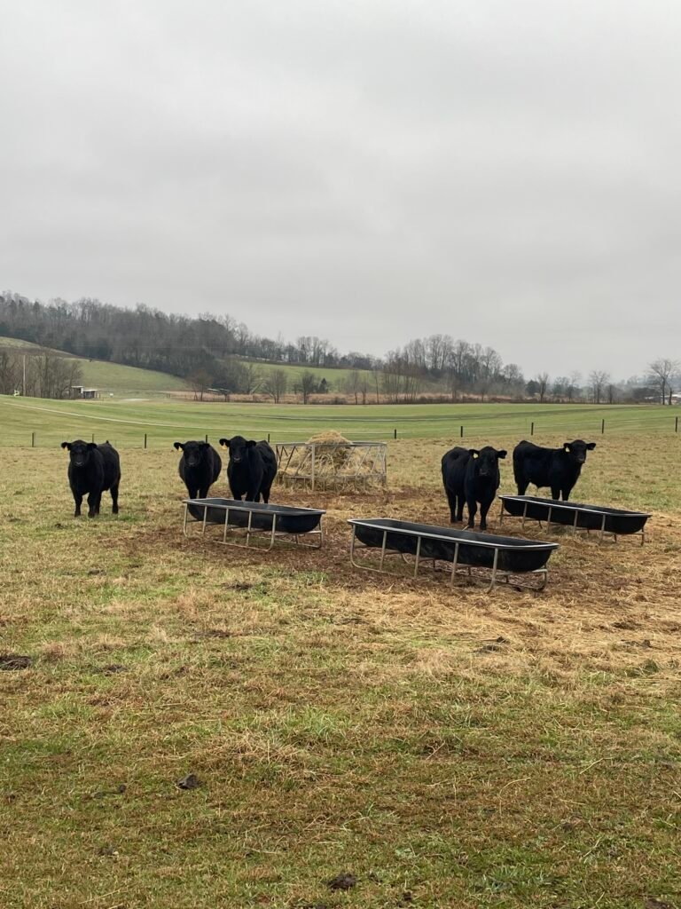 CC4C2040-E197-4CD4-BBE9-22656A2ED474